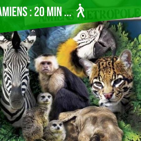 Duplex Safari Jusqu'A 4 Personnes, Spa, Cinema Et Lit Sous Les Arbres, Day Use, 10 Min Centre Amiens Buitenkant foto